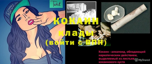 шишки Козловка