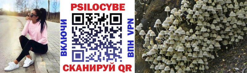 Купить закладки  Котлас  Галлюциногенные грибы ЛСД 